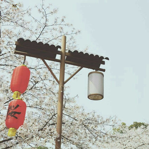 国产大片内射1区2区
